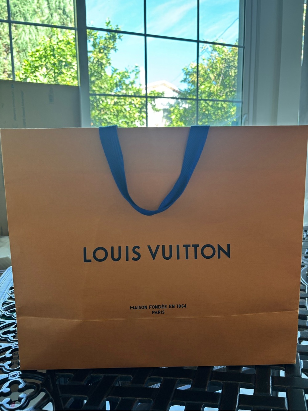 Louis Vuitton Gift Bag